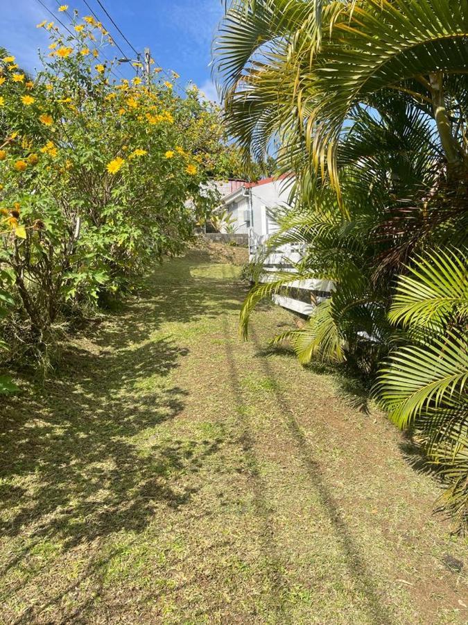Joyaux De Tivoli Villa Fort-de-France Exteriör bild